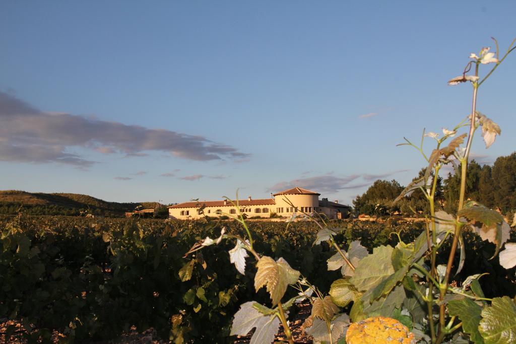 Hotel Enoturismo Mainetes Fuente-Álamo Extérieur photo